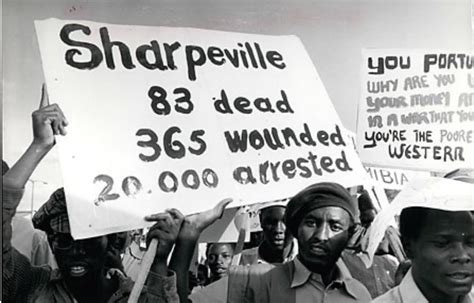  The Sharpeville Massacre: A Turning Point for Apartheid South Africa and the Global Struggle Against Racial Segregation