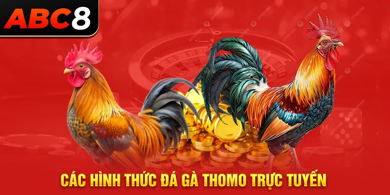 Các hình thức đá gà Thomo trực tuyến 