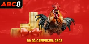 đá gà campuchia abc8