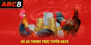 đá gà thomo trực tuyến abc8