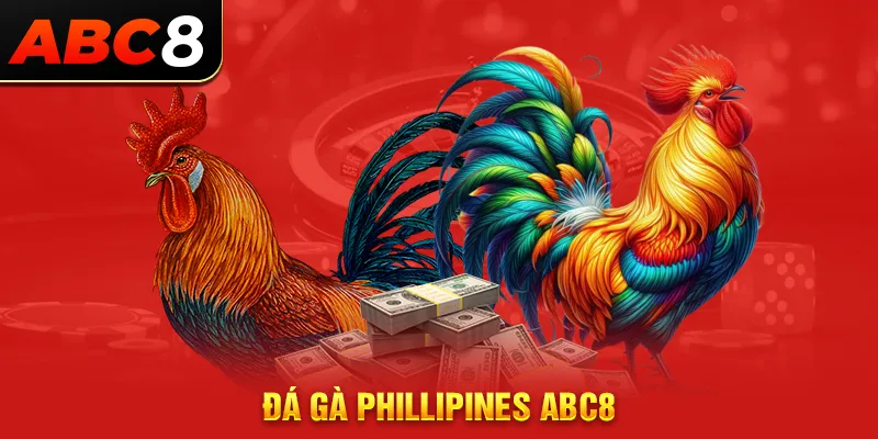 đá gà philippines abc8