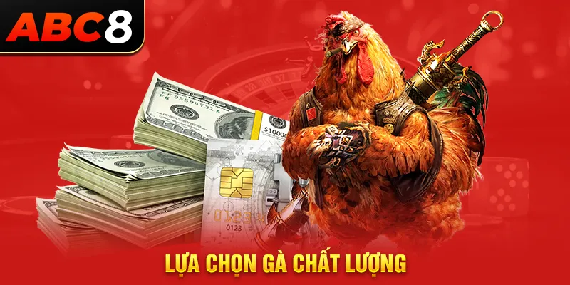 Lựa chọn gà chất lượng